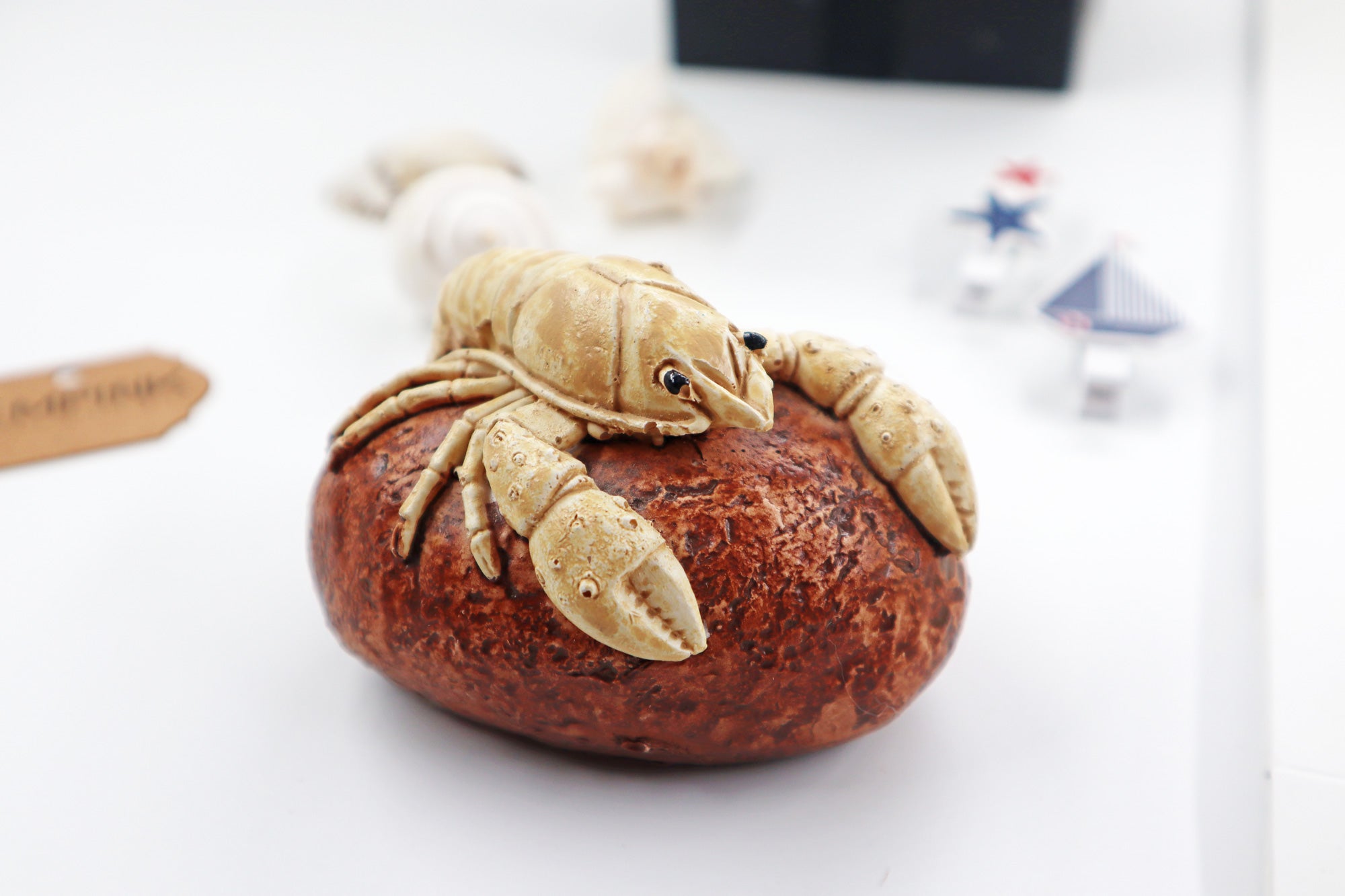 SeaSide Gift Box