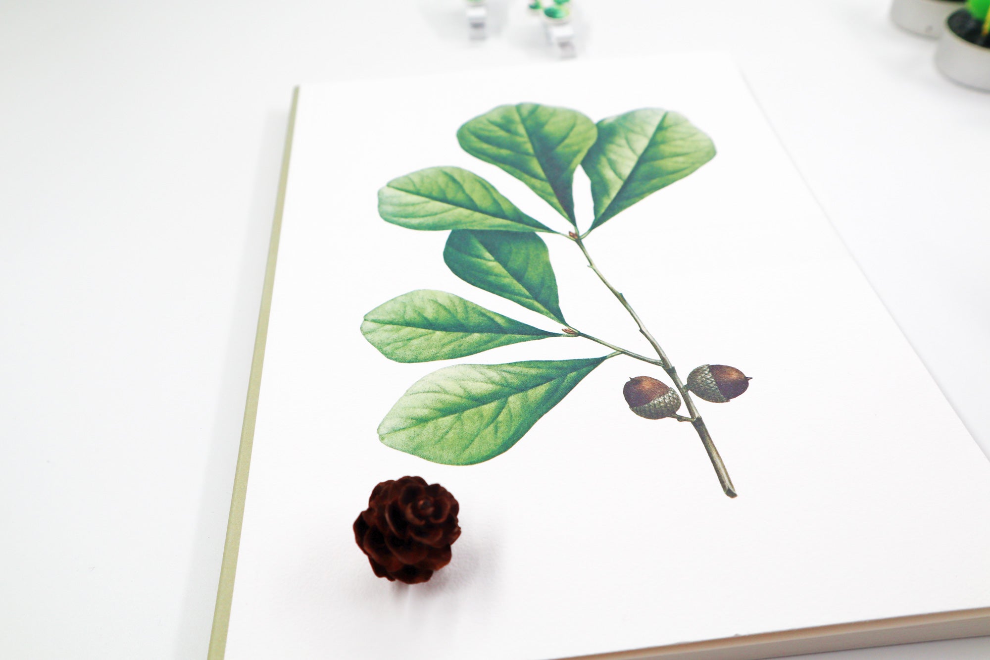 Greenish Gift Box