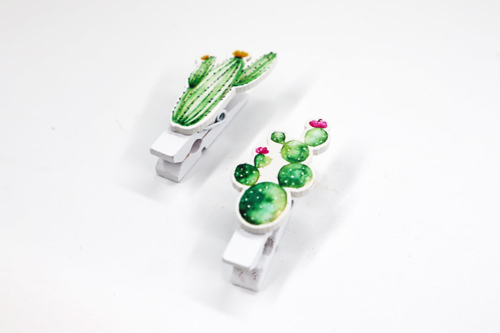 Greenish Gift Box