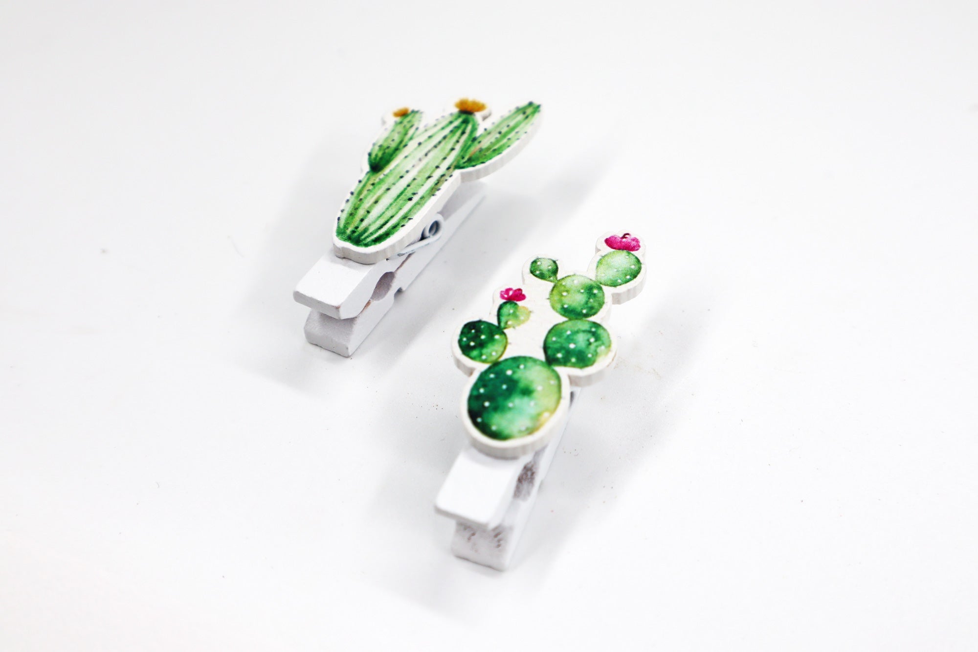 Greenish Gift Box