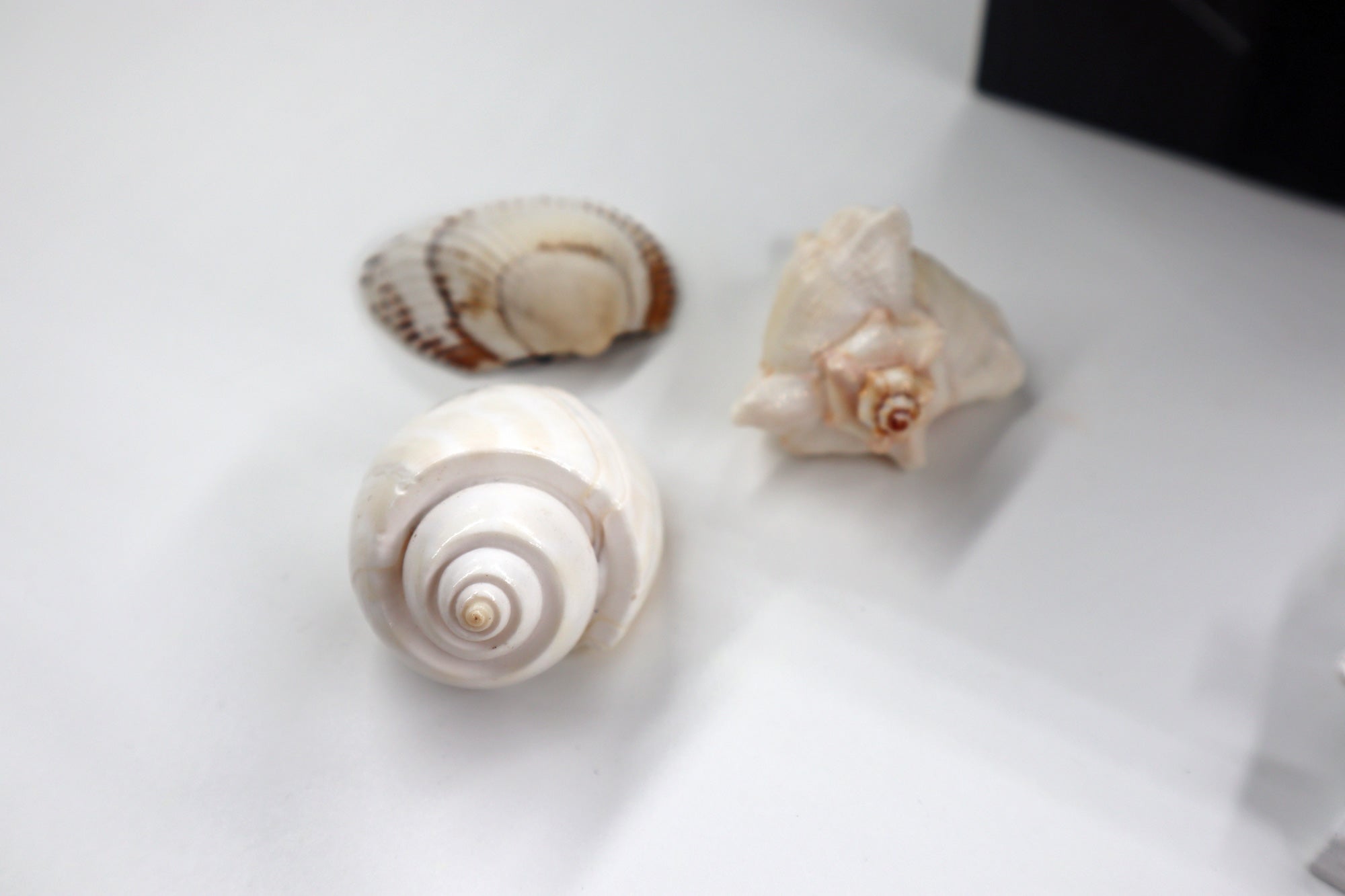 SeaSide Gift Box