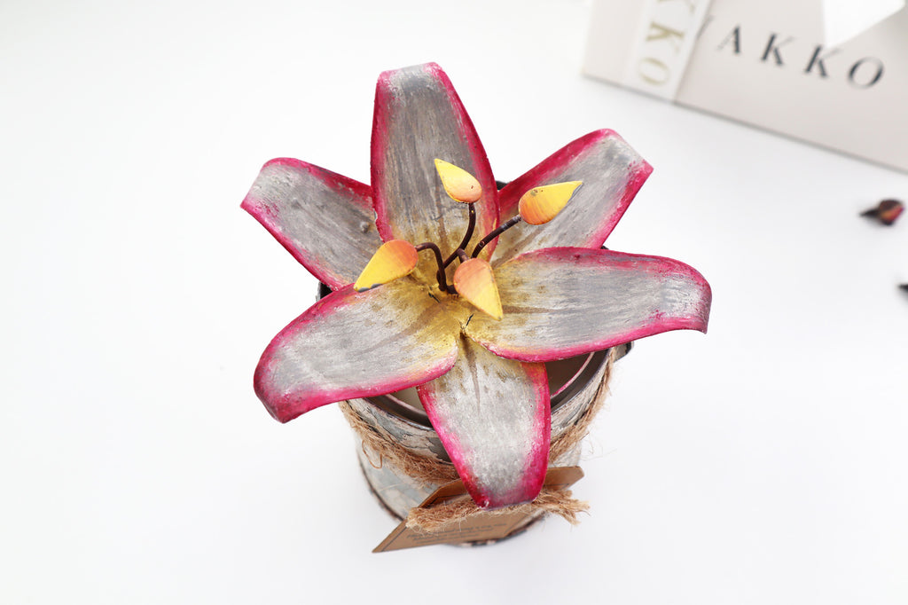 Pink Evidence Gift Set
