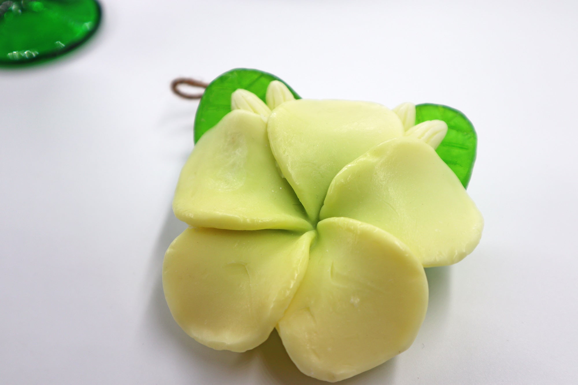 Greenish World Gift Box