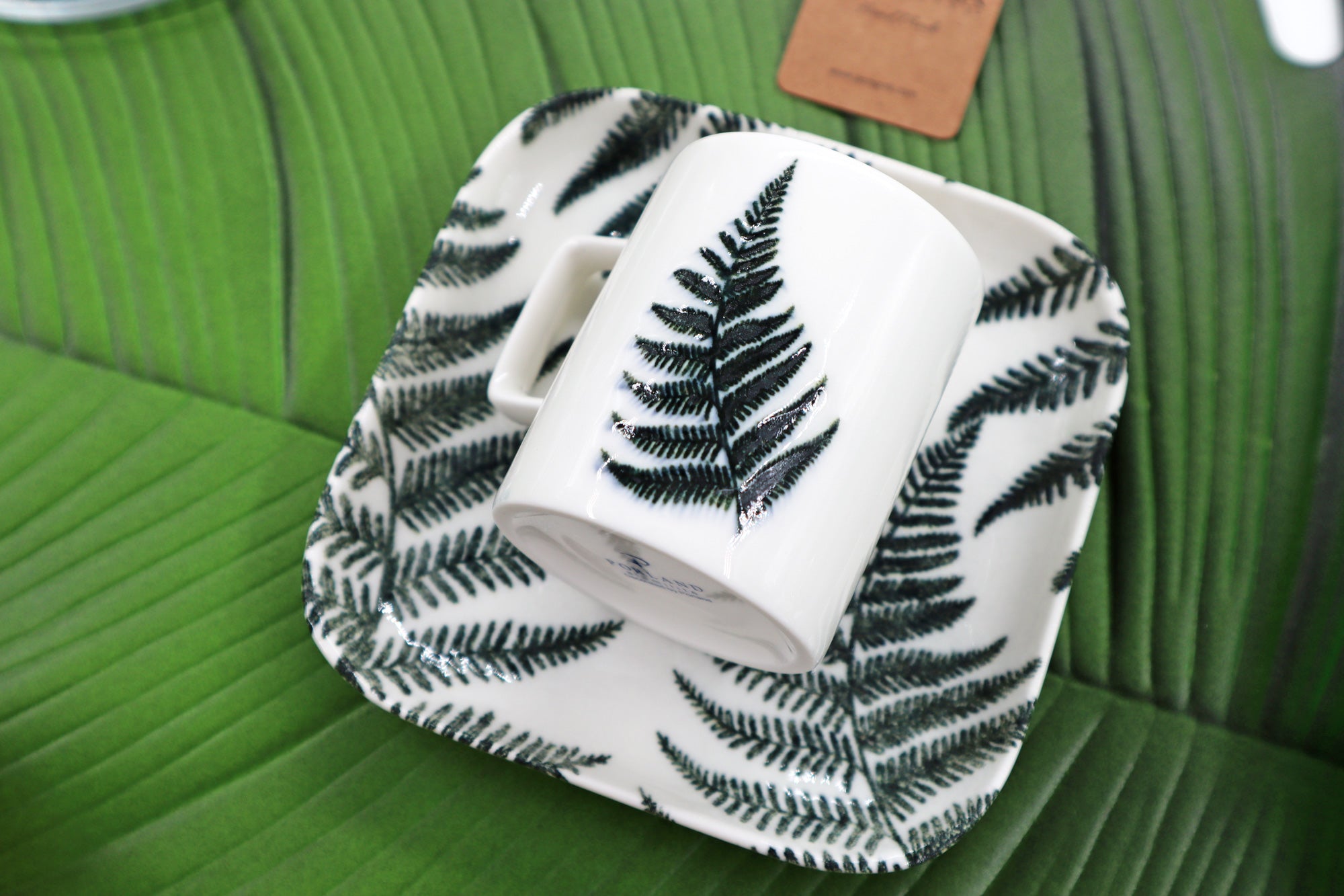 Tropic Fun Gift Box