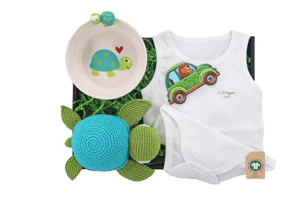 Green Turtle Gift Set