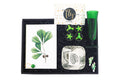 Greenish Gift Box